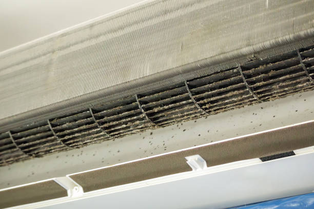 Best Air Duct Cleaning Near Me in Centennial Park, AZ